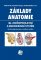 Základy anatomie. 3b - Močopohlavní a endokrinní systém (Grim Miloš)